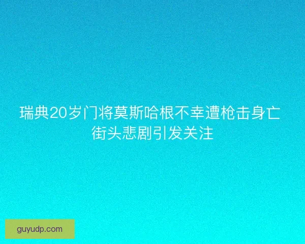 瑞典20岁门将莫斯哈根不幸遭枪击身亡 街头悲剧引发关注