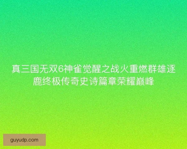 真三国无双6神雀觉醒之战火重燃群雄逐鹿终极传奇史诗篇章荣耀巅峰